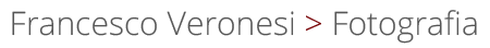 Mobile Logo